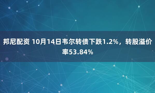 邦尼配资 10月14日韦尔转债下跌1.2%，转股溢价率53.84%